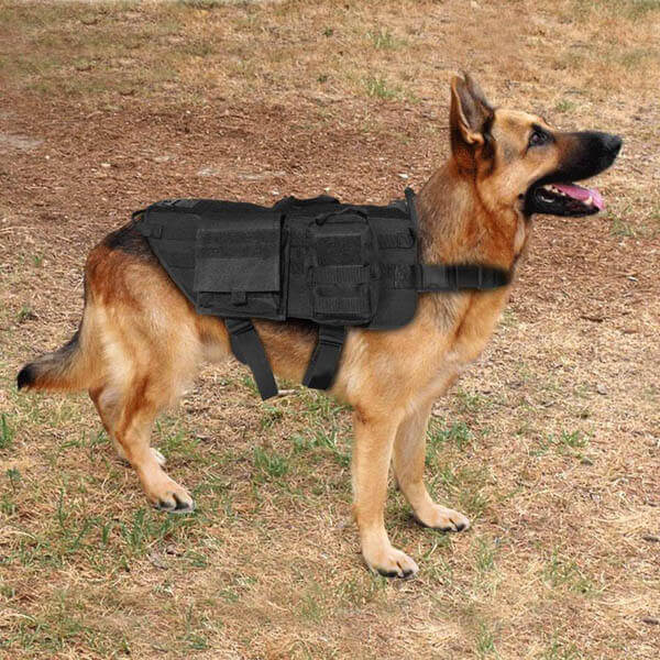 Titan Depot Tactical Dog Training Molle Vest Harness life pic