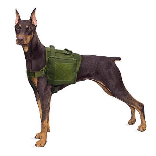 Titan Depot Dog Tactical Training Harness With Detachable Molle Pouch dobermann