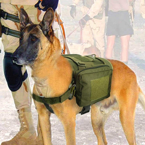 Titan Depot Dog Tactical Training Harness With Detachable Molle Pouch dog working 2