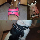 Large Dog Harness