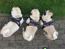 Large Dog Harness