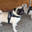 Large Dog Harness